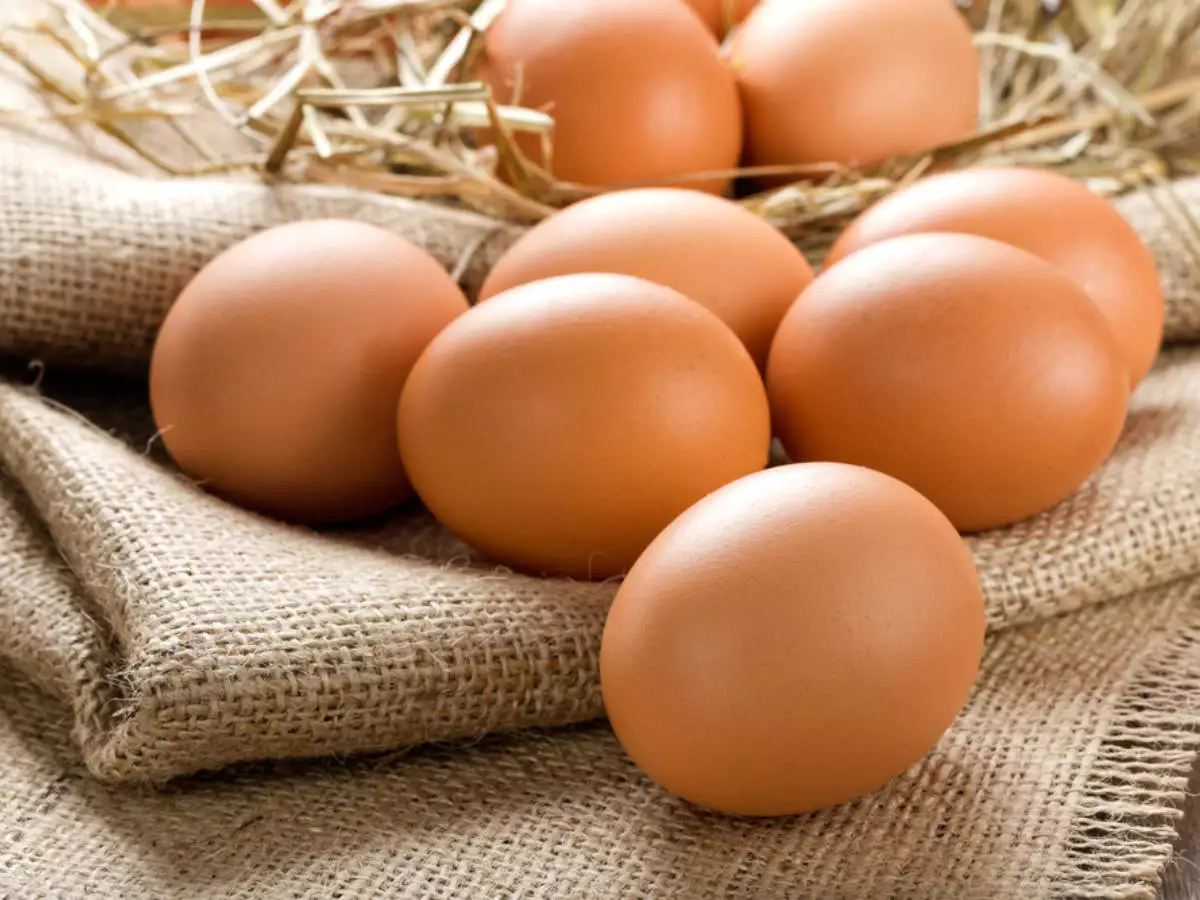 Amazing Benefits of Egg, Newscrable