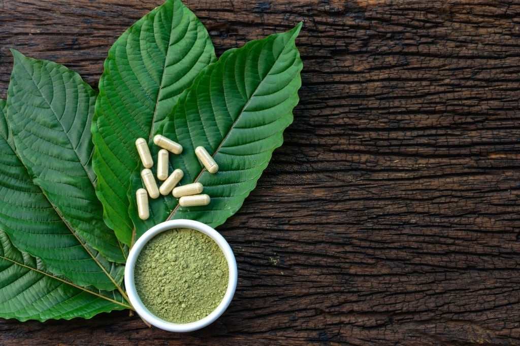 kratom wholesale bulk